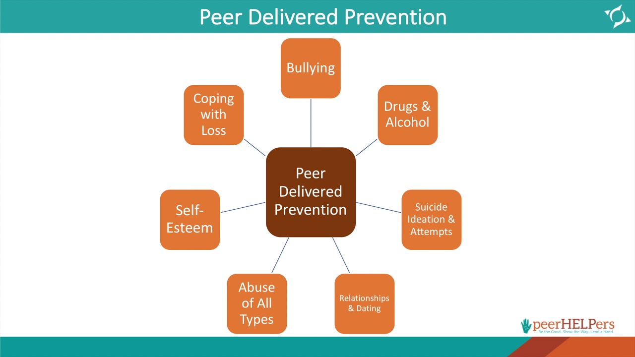 Peer Helper Program Implementation Overview