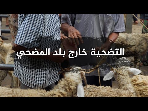 التضحية خارج بلد المضحي