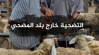 التضحية خارج بلد المضحي