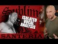 Santeria Sublime Bradley Nowell Isolated Vocal Analysis Light To Grit Singing Tips