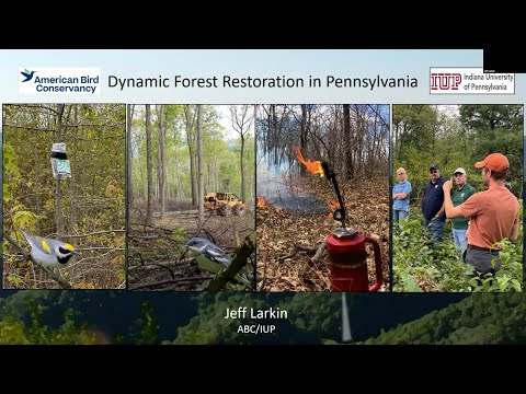 Dynamic Forest Restoration in Pennsylvania- Dr. Jeff Larkin- Episode 30