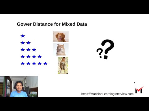 Gower Distance for Mixed Data