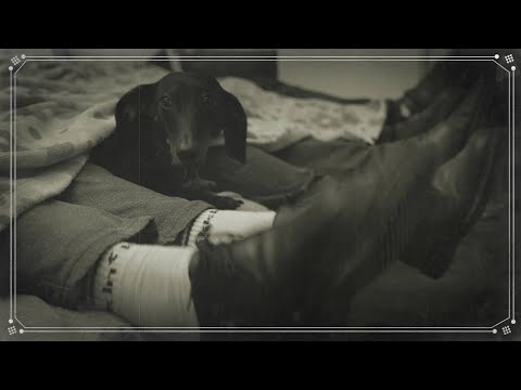 SIKK - Rowdee Crowdee (Official Video)