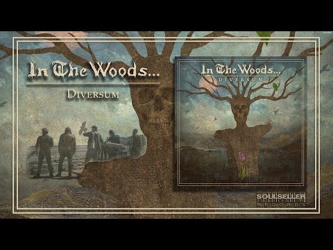 IN THE WOODS - DIVERSUM (OFFICIAL FULL ALBUM STREAM)