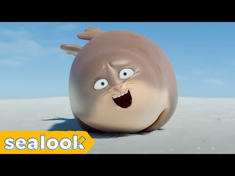 Lachende Robbe-SpezialㅣSEALOOKㅣEpisodes Compilation