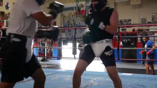 Marco Flores boxing prospect