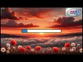 София Ротару Было но прошло Караоке