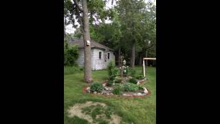 Squirrel.    Beating my trap.   Lol