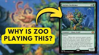 What is Zoo doing?! | MTGO Modern
