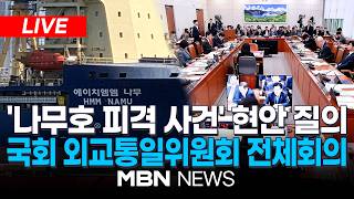 ????[LIVE] 국회 외통위, 오늘 '나무호 피격' 현안 질의...잔해 분석·책임 소재 공유 예정 / 조현 외교부 장관 참석...국회 외교통일위원회 전체회의 | MBN NEWS