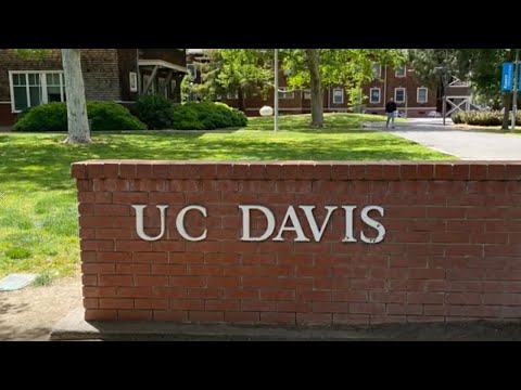 児童教育学科 20221214【英語英米文学科】アメリカ派遣6ヵ月留学 12