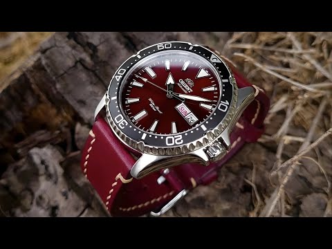 10 Best Watches Under $300 That Rival Expensive Timepieces