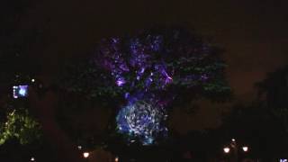 Tree of Life Awakening - Disney Films