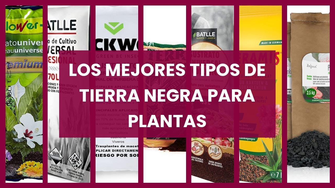 Tierra negra para plantas: Los mejores tipos de tierra negra para plantas