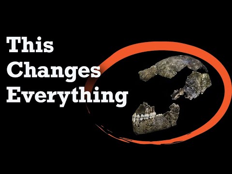 Homo naledi: The Disruptor