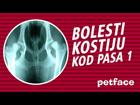 a streptococcusok paraziták az úgynevezett jótékony paraziták
