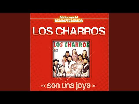 Si Ya No Te Vuelvo A Ver