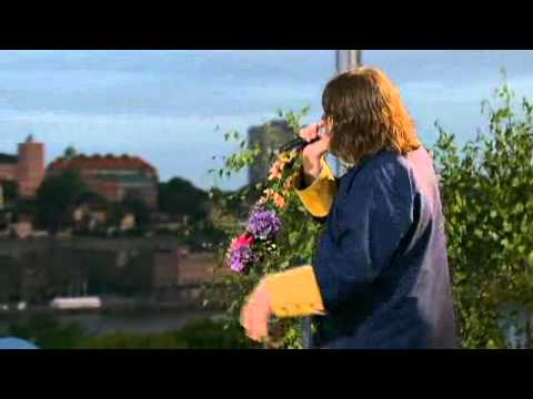 When We Fall - The Soundtrack Of Our Lives