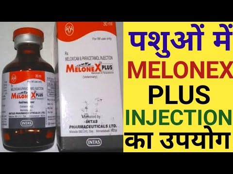Melonex Plus Injection 100 Ml