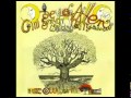 Daevid Allen & Mother Gong - I am My Own Lover