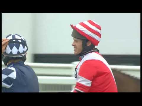 2014 Arkle Trophy Trial Novices' Chase - Cheltenham Open meeting