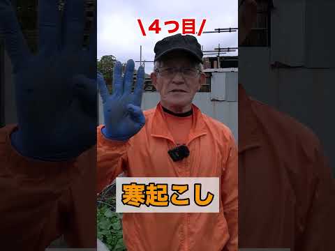  2月に室内に何を蒔く？欠かせない5つの作物  庭園