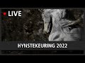 LIVE: Hynstekeuring 2022