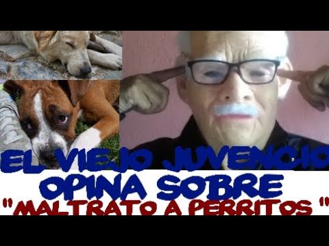 "Maltrato a Perritos".