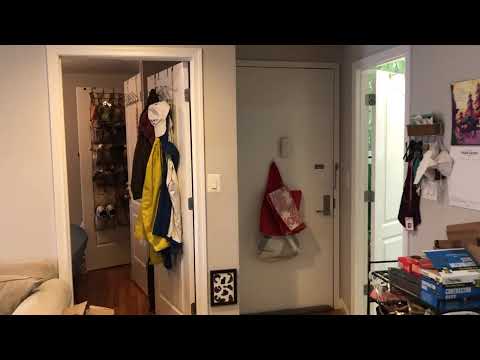 video 1
