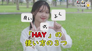「HAY 」の使い方３つ||らくらくベトナム語