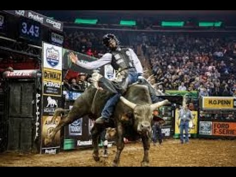 Bull riding sports