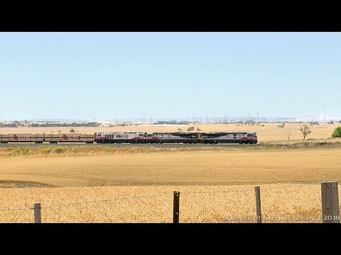 SCT PM9 Boxcars & Container Wagons - PoathTV Australian Trains & Railways
