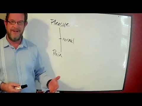 The Pleasure Principle: The ONE Thing That Drives EVERYTHING