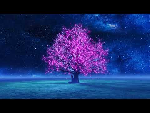 RECEIVE GIFTS FROM THE UNIVERSE ✨ FREQUENCY 545 Hz 💫 Light frequencies.