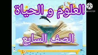 المركبات الكيميائية