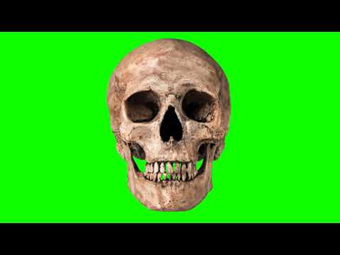 GREEN SCREEN FOOTAGE Skull 100% FREE to USE - FREE STOCK FOOTAGE