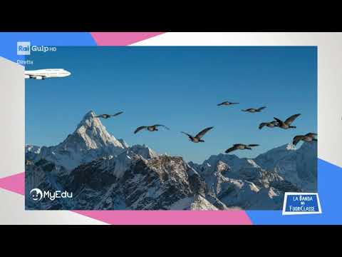 MyEdu per RAI Gulp - SCIENZE - La migrazione