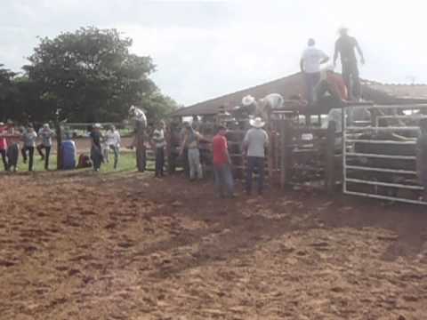 Falamansa vs Raio X - Cia Madrugada