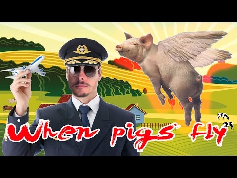 Bruchpilot MRTN | When Pigs Fly | MRTN (Facecam|Schweizerdeutsch)