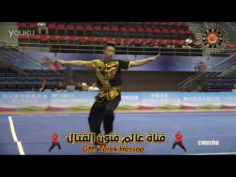 2016 China wushu championship DaoShu（wu zhaohua）1st Place