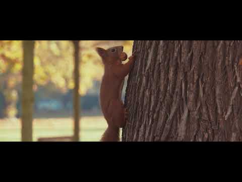 Legnica w jesiennych barwach 2019