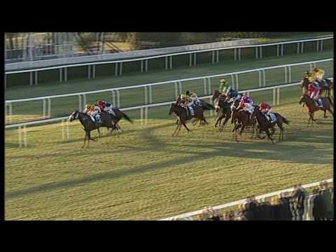 2017-02-26 Corsa n5 m1200 26° Premio Enrico Camici