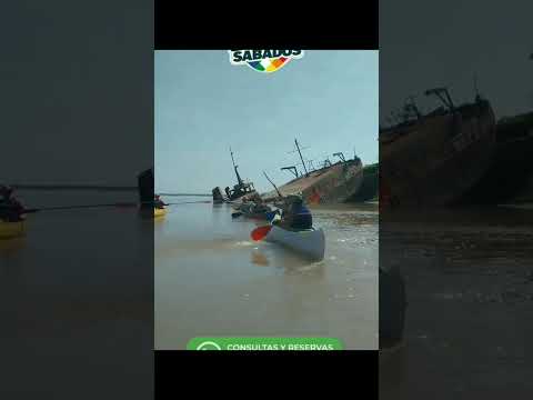 WhatsApp Video 2026 04 29 at 18 35 11