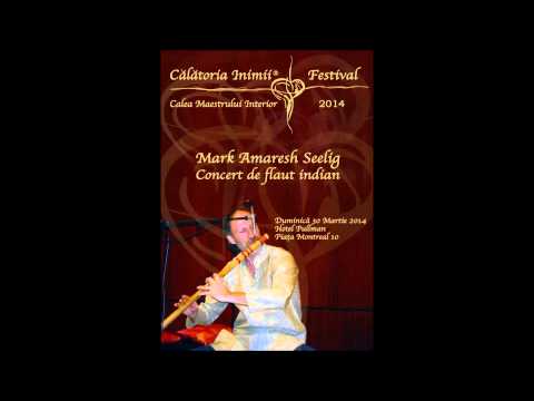 Call of the Divine - Mark Amaresh Seelig