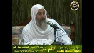 البخاري (254) ”  فضل الصدقة في سبيل الله ” كتاب الجهاد والسير باب (37-42)