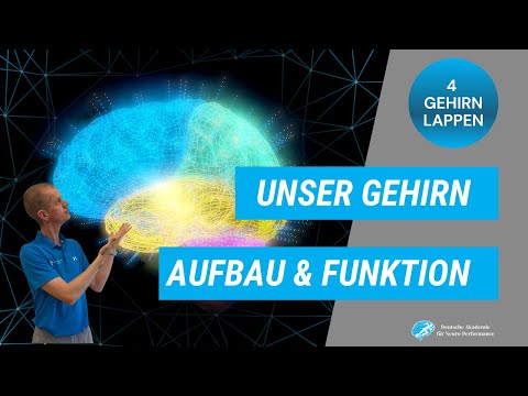 Our brain – structure and function explained simply: Neuroanatomy of the cerebrum