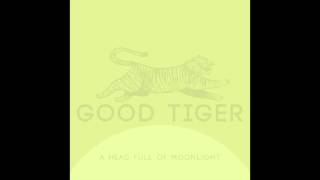 Good Tiger - I Paint What I See