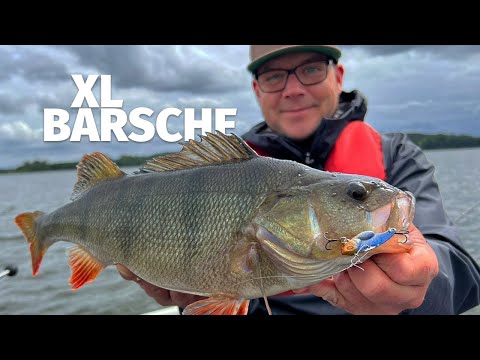 Die ZIKADE FÄNGT WEITER - BARSCHANGELN mit Olli, Janne Ovens & Adrian Prus - 'Fang mal was '(31)