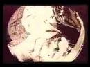 Greasy Jungle - Day for Night - The Tragically Hip