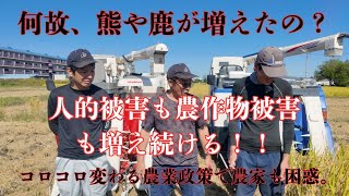 He wonders why the number of bears and deer continues to increase, and if things continue as they...